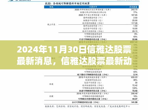 信雅達(dá)股票最新動態(tài)，與自然美景的邂逅，啟程尋找寧靜之舟之旅（2024年11月30日）
