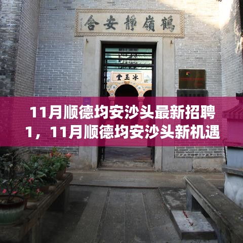 11月順德均安沙頭最新招聘啟航，職場新征程，學(xué)習(xí)變革與自信成長的機(jī)會