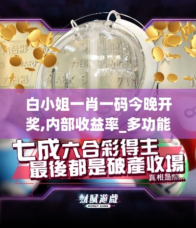 白小姐一肖一碼今晚開獎(jiǎng),內(nèi)部收益率_多功能版DPD7.754
