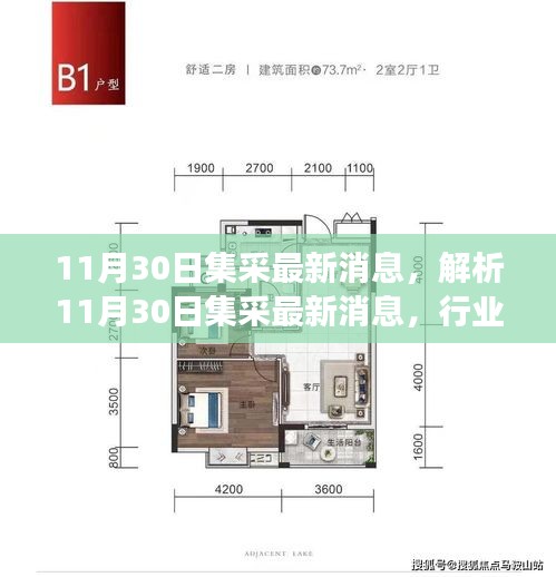 解析，從行業(yè)變革與個人立場看，11月30日集采的最新消息動態(tài)