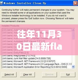 最新Flash Player下載體驗，功能升級，引領生活新潮流！