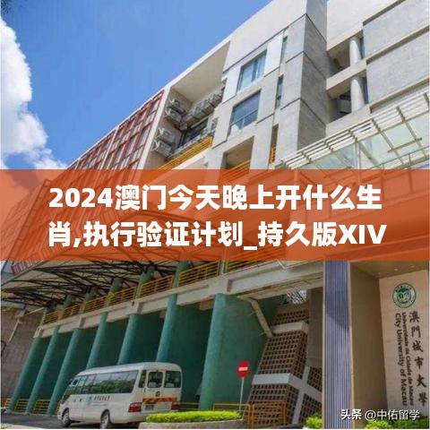 2024澳門今天晚上開什么生肖,執(zhí)行驗(yàn)證計(jì)劃_持久版XIV50.476