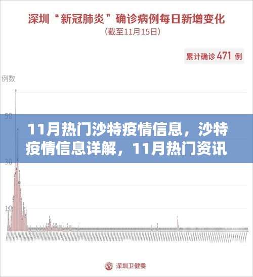 沙特疫情11月詳解，從入門到進階的全方位指南