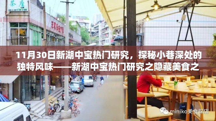 探秘新湖中寶隱藏美食，小巷深處的獨(dú)特風(fēng)味之旅