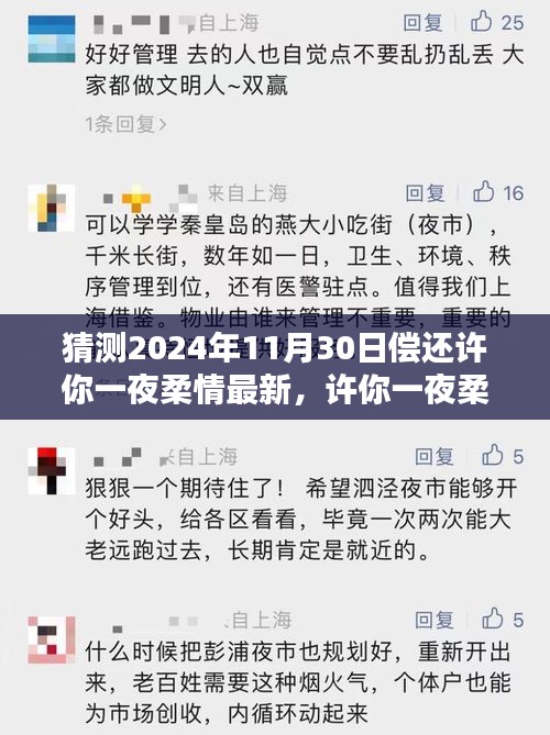 許你一夜柔情，深度評測、特性體驗、競品對比及用戶群體分析