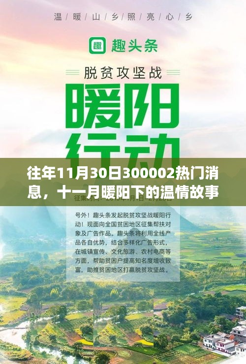 十一月暖陽下的溫情故事，揭秘300002熱門消息的溫馨日常揭秘