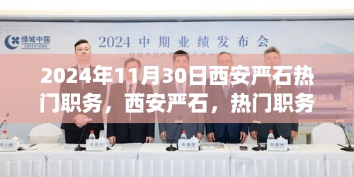 揭秘西安嚴石熱門職務背后的故事與影響，2024年回顧