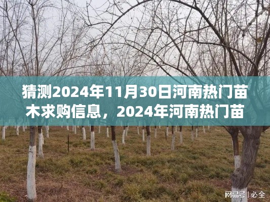 2024年河南熱門苗木求購信息預(yù)測，多方視角解讀與觀點碰撞，未來趨勢展望