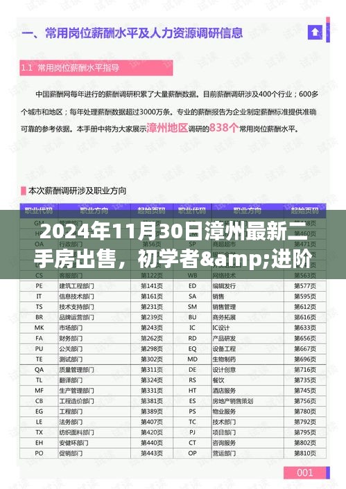 2024年漳州二手房出售全流程指南，從初學者到進階用戶