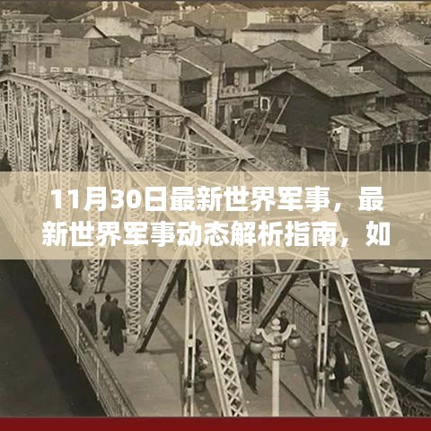 11月30日世界軍事最新動態(tài)解析，深入了解當(dāng)日軍事形勢指南