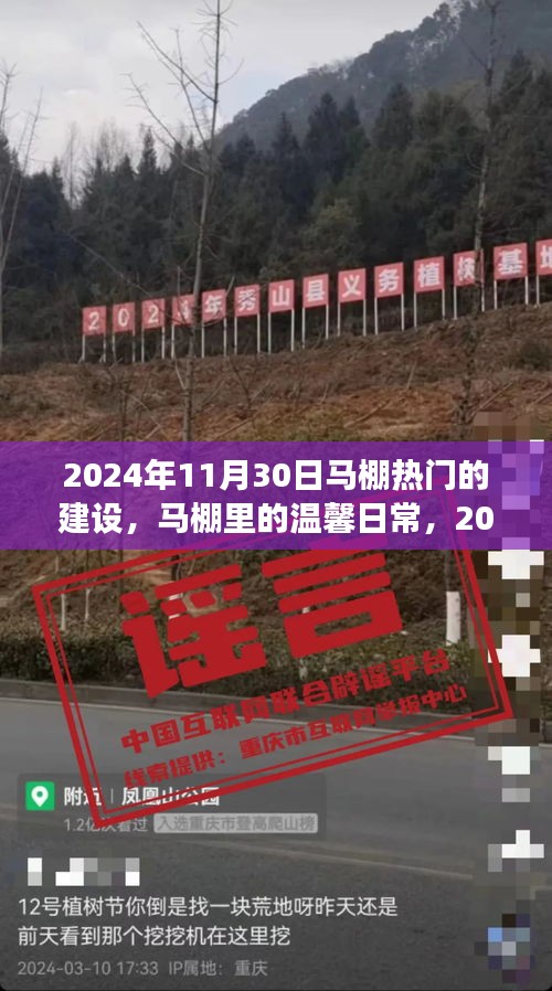 馬棚溫馨日常與熱鬧建設(shè)之旅，2024年11月30日的記錄