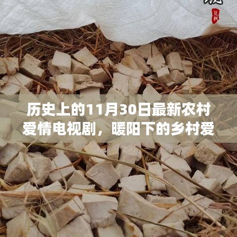 暖陽(yáng)下的鄉(xiāng)村愛(ài)情，十一月三十日的甜蜜日常