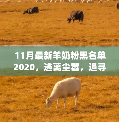 羊奶粉黑名單揭秘，追尋心靈寧?kù)o之旅的別樣風(fēng)情