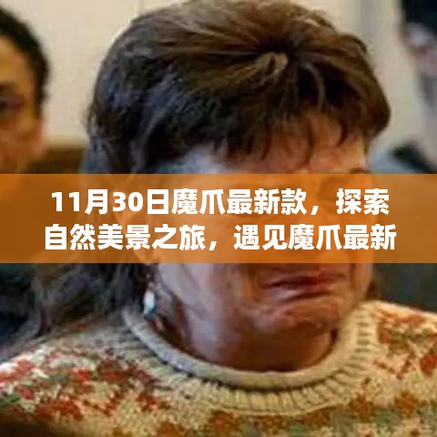 魔爪最新款探索之旅，自然美景的心靈寧靜之旅