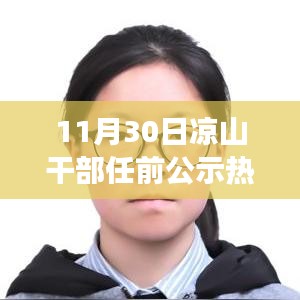涼山干部任前公示操作指南，從零起步到公示完成全解析