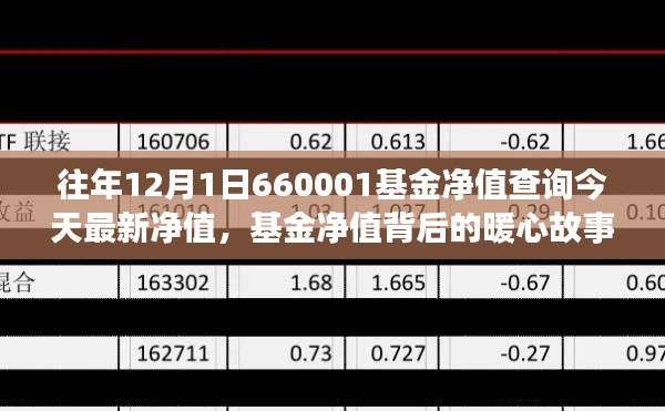 友情與陪伴的溫馨旅程，揭秘最新基金凈值背后的暖心故事——關于基金凈值查詢的最新動態(tài)（今日更新）