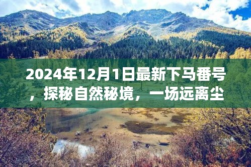 探秘自然秘境，啟程于2024年心靈之旅的冒險(xiǎn)號(hào)角