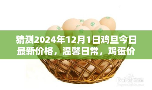 雞蛋價(jià)格之謎，探索2024年最新價(jià)格與友情的紐帶