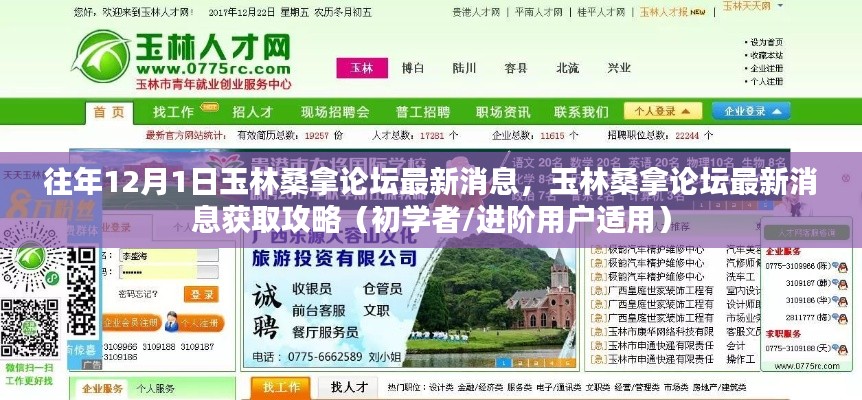 往年12月1日玉林桑拿論壇最新消息全解析，獲取攻略初學(xué)者與進(jìn)階用戶必讀