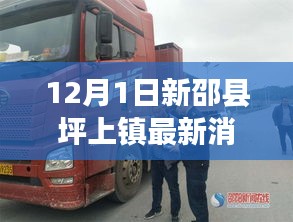 新邵縣坪上鎮(zhèn)最新動(dòng)態(tài)報(bào)道，深度解析十二月一日最新消息