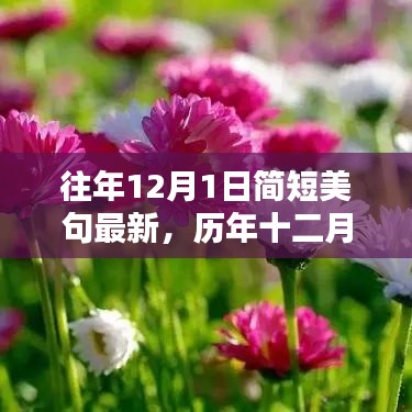 歷年十二月一日美妙瞬間盤點，簡短美句集錦