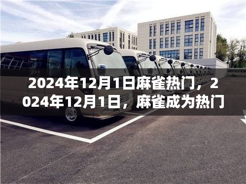 揭秘麻雀魅力背后的原因，為何它在2024年12月1日成為熱門焦點(diǎn)？