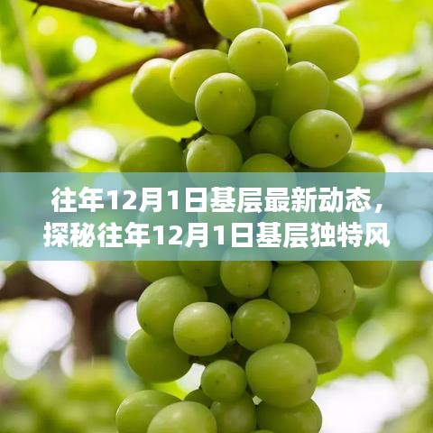 蓋世英雄 第5頁(yè)