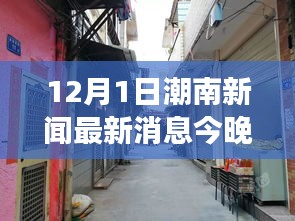 梨花帶雨 第4頁