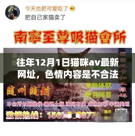 遠離非法色情內(nèi)容，關(guān)注貓咪健康與日常護理的建議和指導(dǎo)
