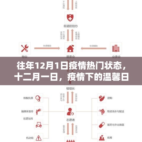 疫情下的溫馨日常與友情紐帶，十二月一日的抗疫記憶