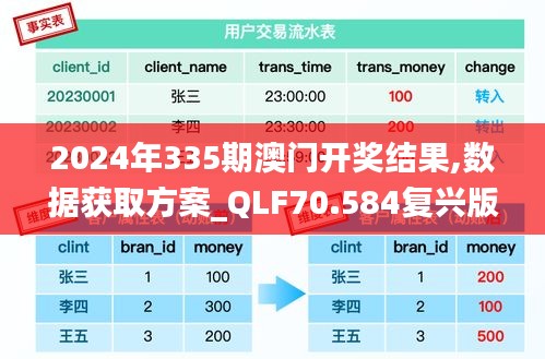 2024年335期澳門開獎結(jié)果,數(shù)據(jù)獲取方案_QLF70.584復興版