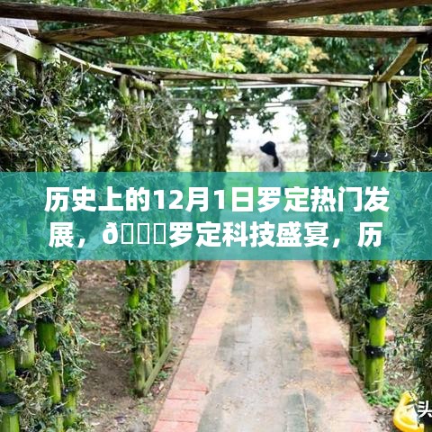 ??羅定科技盛宴，歷史上的12月1日羅定熱門發(fā)展新品重磅來襲回顧與前瞻