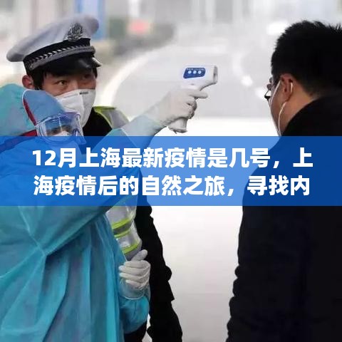 上海疫情后的自然之旅，尋找內(nèi)心的寧靜與力量之旅（最新疫情動態(tài)）