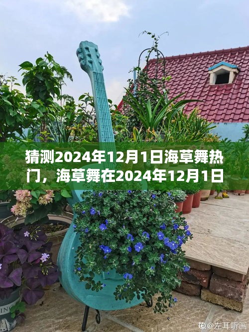 2024年12月1日海草舞流行趨勢(shì)預(yù)測(cè)，熱門舞蹈風(fēng)潮再起