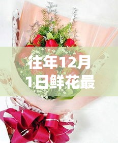 往年12月1日鮮花最新包裝圖片探析，視覺盛宴的背后利與弊