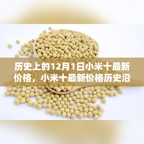 小米十最新價格深度解析，歷史沿革、目標(biāo)用戶群體分析與深度評測報告