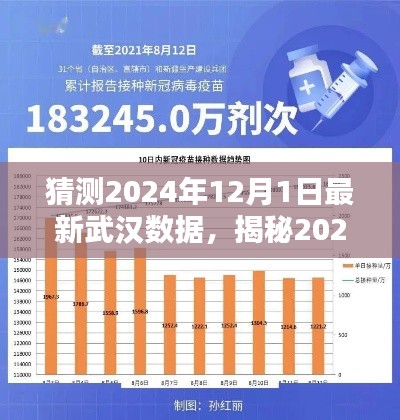揭秘武漢未來(lái)，深度分析與預(yù)測(cè)，預(yù)測(cè)武漢最新數(shù)據(jù)至2024年12月1日揭曉！