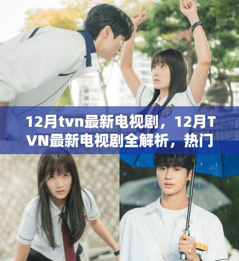 12月TVN新劇全解析，熱門新劇一網(wǎng)打盡