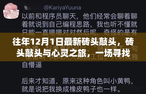 尋找內(nèi)心平靜的奇妙冒險(xiǎn)，磚頭敲頭與心靈之旅