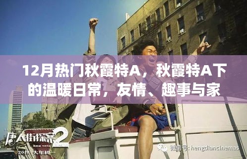 秋霞特A下的溫暖日常，友情、趣事與家的味道，12月熱門精選