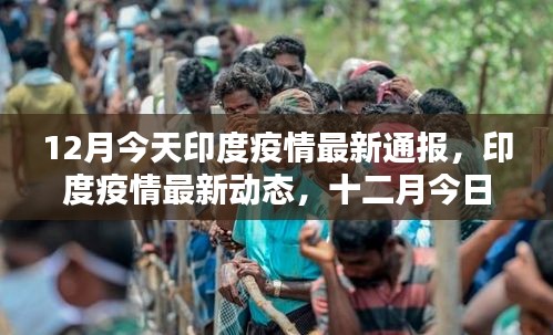 印度疫情最新動態(tài)，十二月今日通報更新