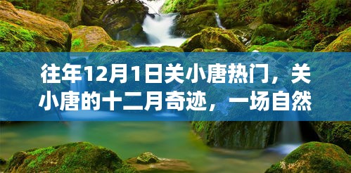 關(guān)小唐的十二月奇跡，自然美景治愈之旅，熱門話題揭秘
