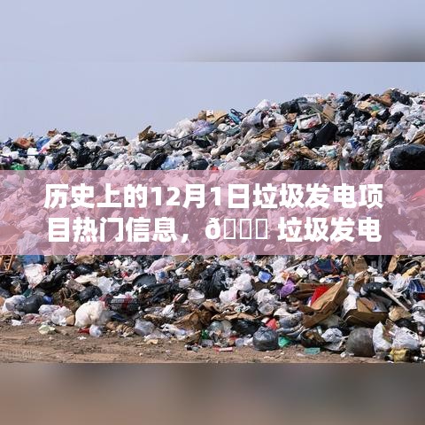 揭秘垃圾發(fā)電項(xiàng)目的科技魅力與最新體驗(yàn)，歷史上的12月1日垃圾發(fā)電項(xiàng)目熱門(mén)信息回顧與前沿展望