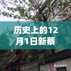 普度眾生 第5頁(yè)
