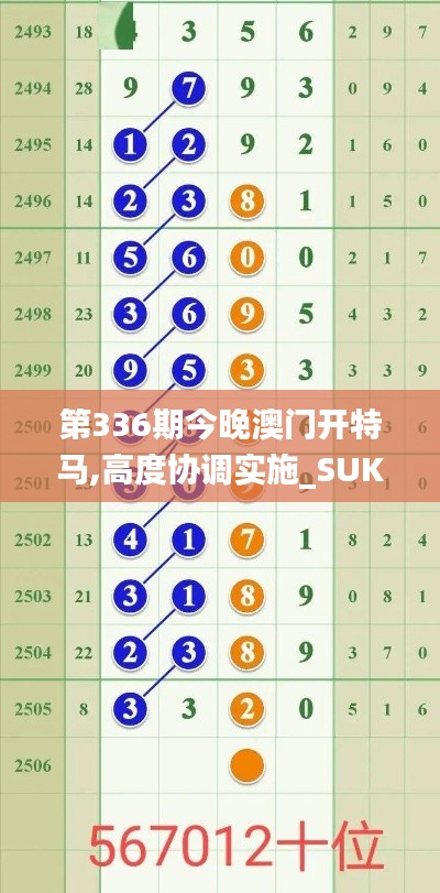 第336期今晚澳門開特馬,高度協(xié)調(diào)實(shí)施_SUK99.105用心版