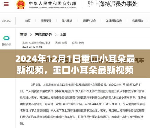 重口小耳朵最新視頻探討，內(nèi)容與受眾接受度的微妙平衡揭秘（2024年）
