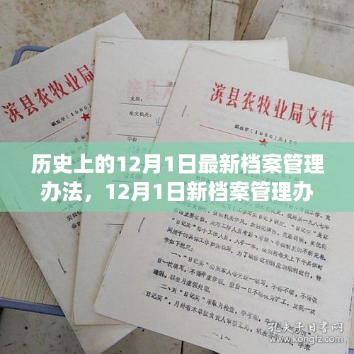 建議，新檔案管理辦法出臺，心靈與自然美景之旅啟程