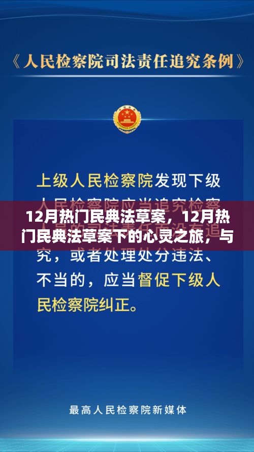 12月民典法草案下的心靈與自然之旅，探尋內(nèi)心平靜與美景共舞
