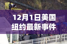紐約最新事件，夢(mèng)想起航之地，學(xué)習(xí)變革照亮未來(lái)之路