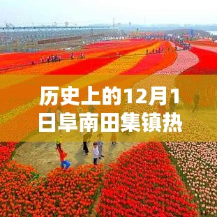 歷史上的12月1日阜南田集鎮(zhèn)熱門(mén)規(guī)劃深度解析與評(píng)測(cè)